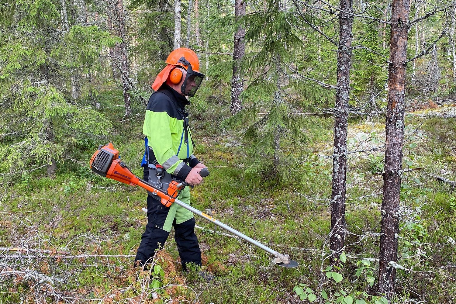 Skogsägare som är ute och jobbar i skogen